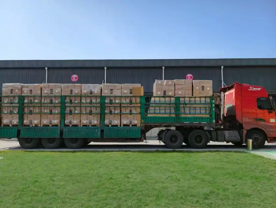 ginger factory from china