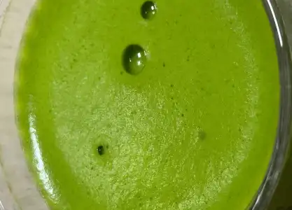 matcha for beverage