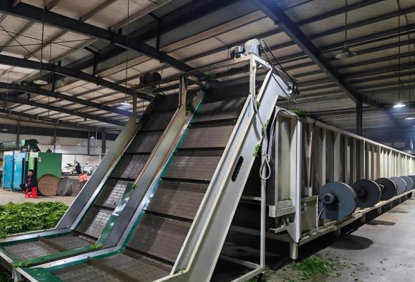 tea factory from China