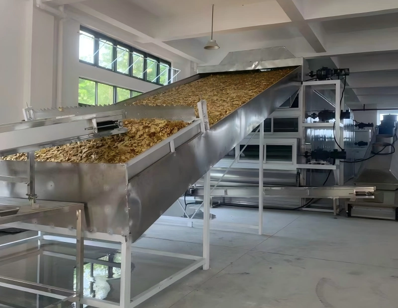 ginger factory