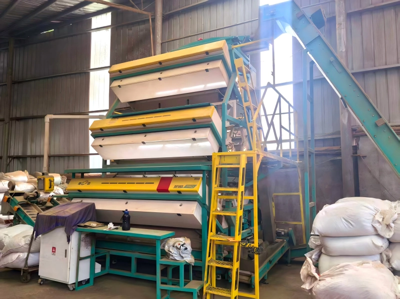 tea factory
